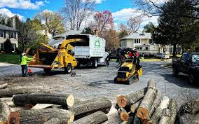 Best Arborist Consultation Services  in Braddock Hills, PA